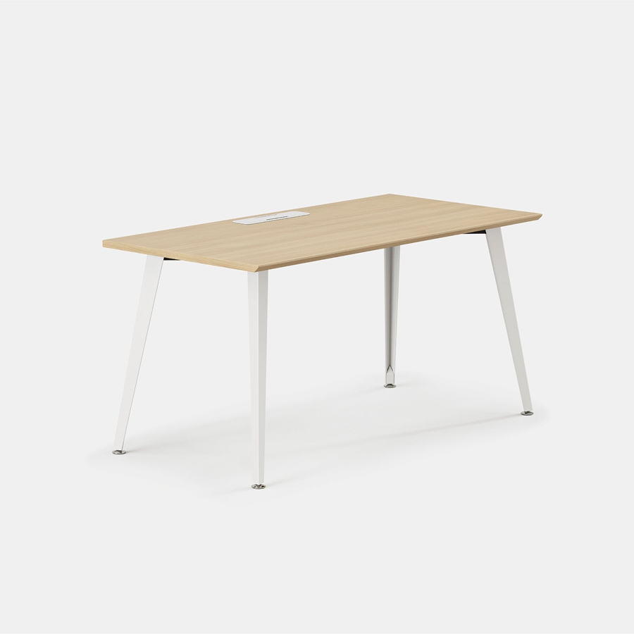 Double Standing Desk
